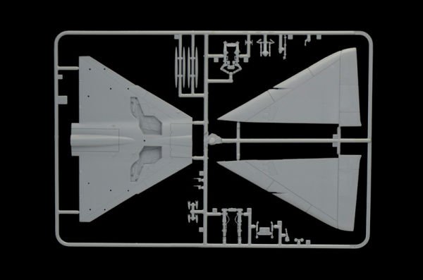 1/48   Nesher / Dagger