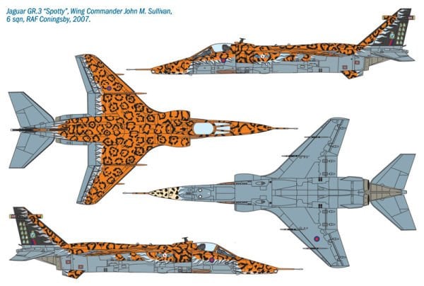 1/72   JAGUAR Gr.3 ''BIG CAT'' Special Colors