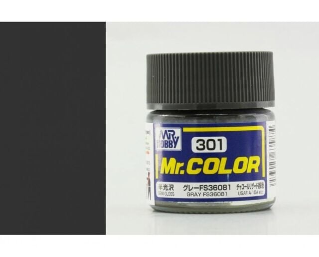 C301 GRAY FS 36081  SG