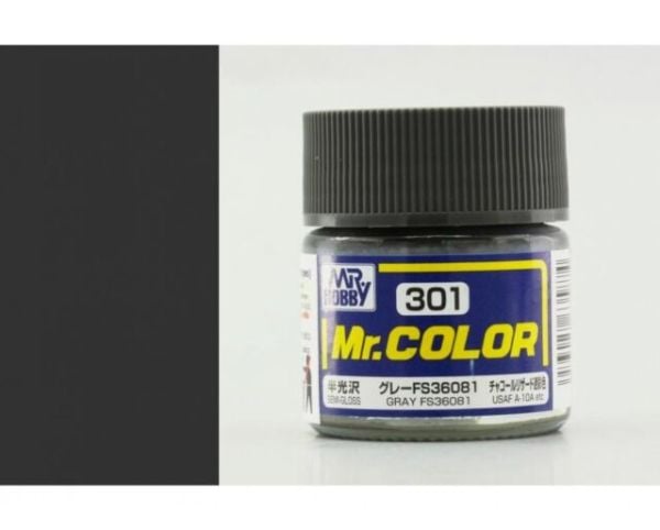 C301 GRAY FS 36081  SG