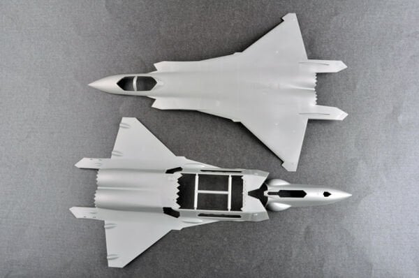 1/48 Chinese J-20 Mighty Dragon-Beast Mode