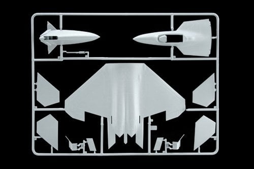 1/72   F - 22 RAPTOR