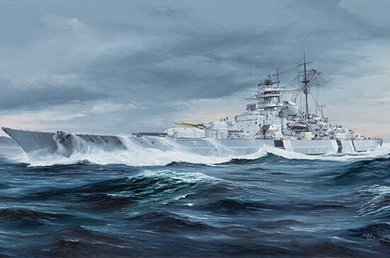 1/350 BISMARCK